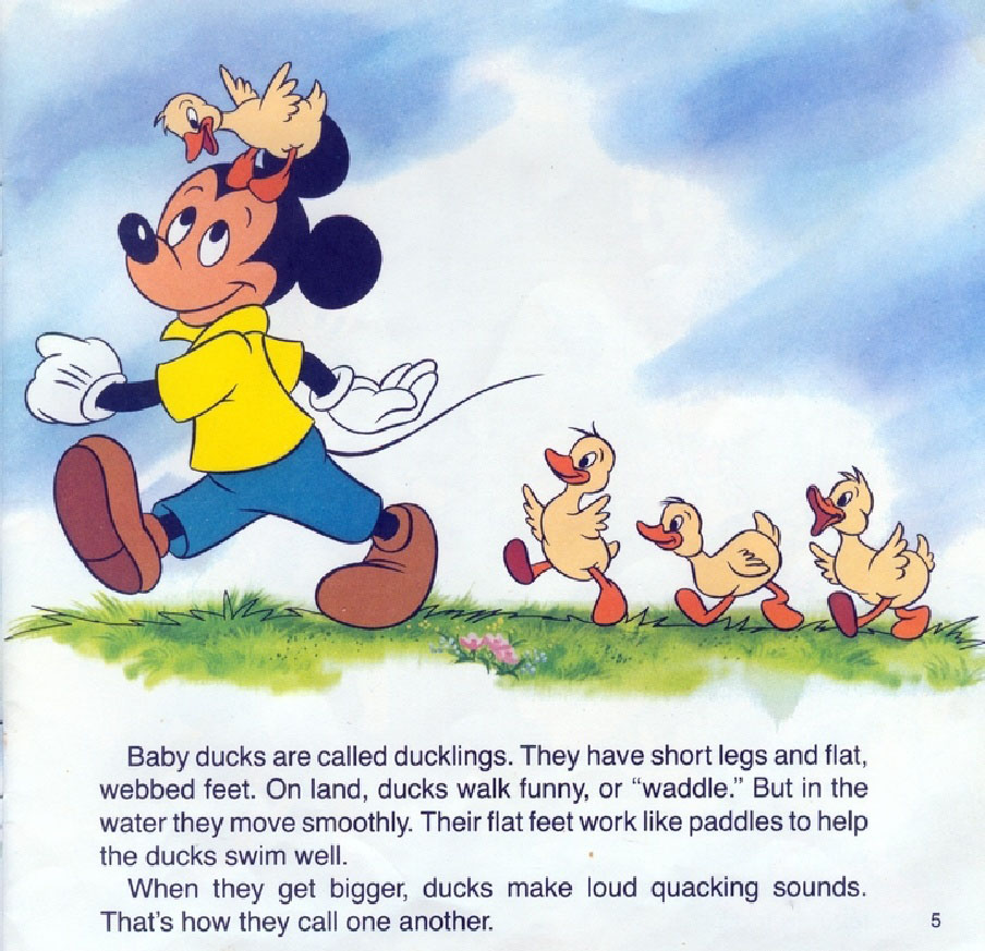 Baby Animals (07),绘本,绘本故事,绘本阅读,故事书,童书,图画书,课外阅读